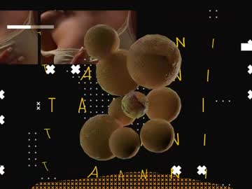 Taanni_bc premium