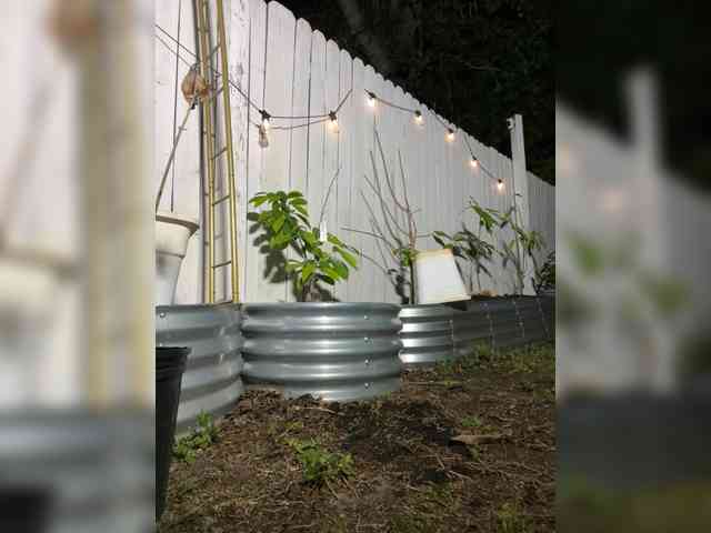 ADRIANNA_FOX fingering camshow