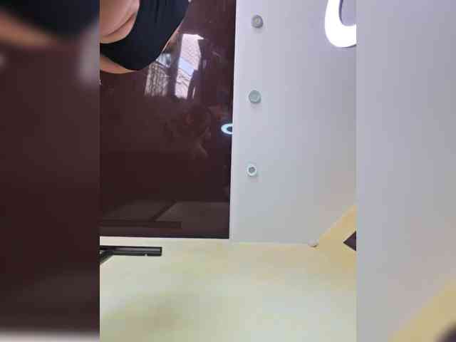 HairyCrotch pussy - 31-01-2024