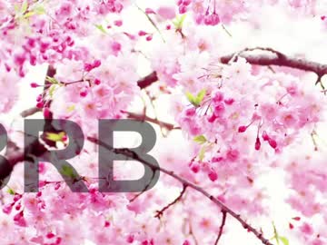 Lorraine_baker big load - 01/29/2024