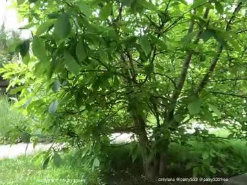 Patry333 tits - 06/23/2023