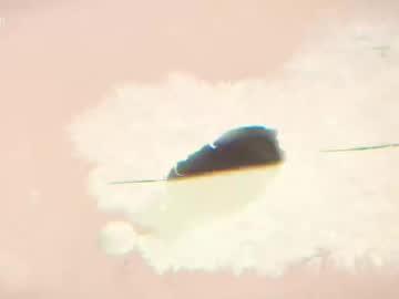 Taanni_bc tits and ass camshow - 31 July 2023