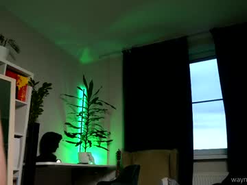 Waynenorth masturbation show - 12.30.2023